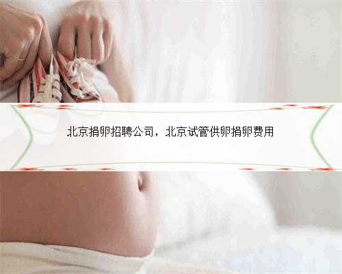 北京捐卵招聘公司，北京试管供卵捐卵费用