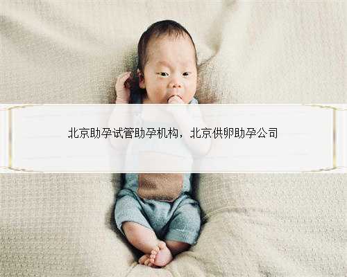 北京助孕试管助孕机构，北京供卵助孕公司