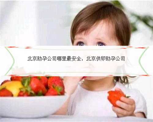 北京助孕公司哪里最安全，北京供卵助孕公司