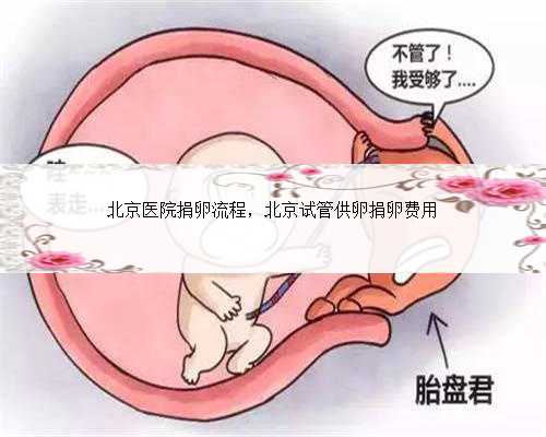 北京医院捐卵流程，北京试管供卵捐卵费用