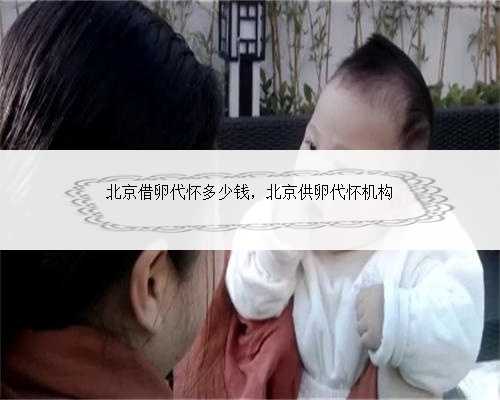 北京借卵代怀多少钱，北京供卵代怀机构