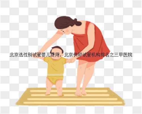 北京选性别试管婴儿费用，北京供卵试管机构排名之三甲医院
