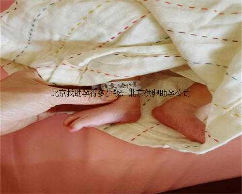 北京找助孕得多少钱，北京供卵助孕公司