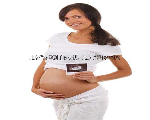 北京代怀孕到手多少钱，北京供卵代怀机构