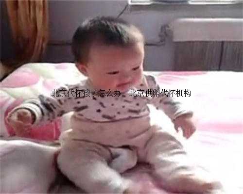 北京代怀孩子怎么办，北京供卵代怀机构