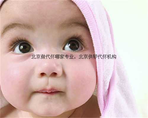 北京做代怀哪家专业，北京供卵代怀机构