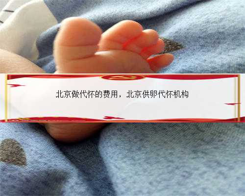 北京做代怀的费用，北京供卵代怀机构