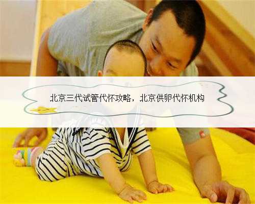北京三代试管代怀攻略，北京供卵代怀机构