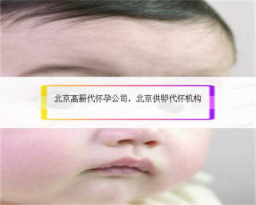 北京高薪代怀孕公司，北京供卵代怀机构