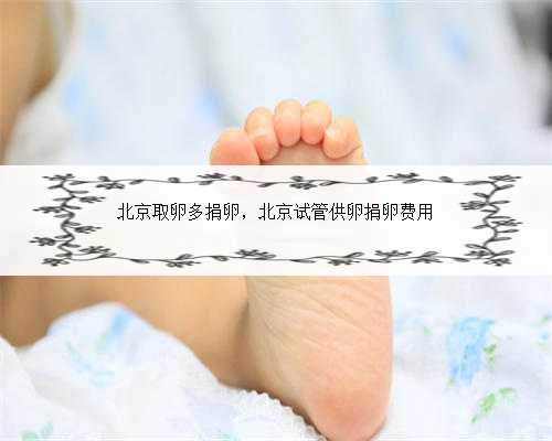 北京取卵多捐卵，北京试管供卵捐卵费用