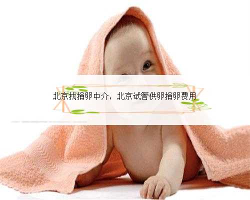 北京找捐卵中介，北京试管供卵捐卵费用