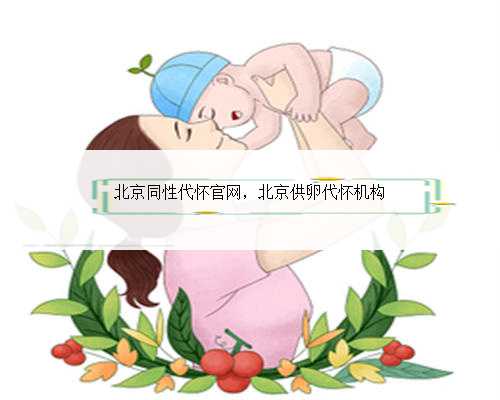 北京同性代怀官网，北京供卵代怀机构