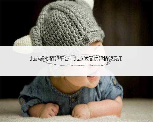 北京爱心捐卵平台，北京试管供卵捐卵费用