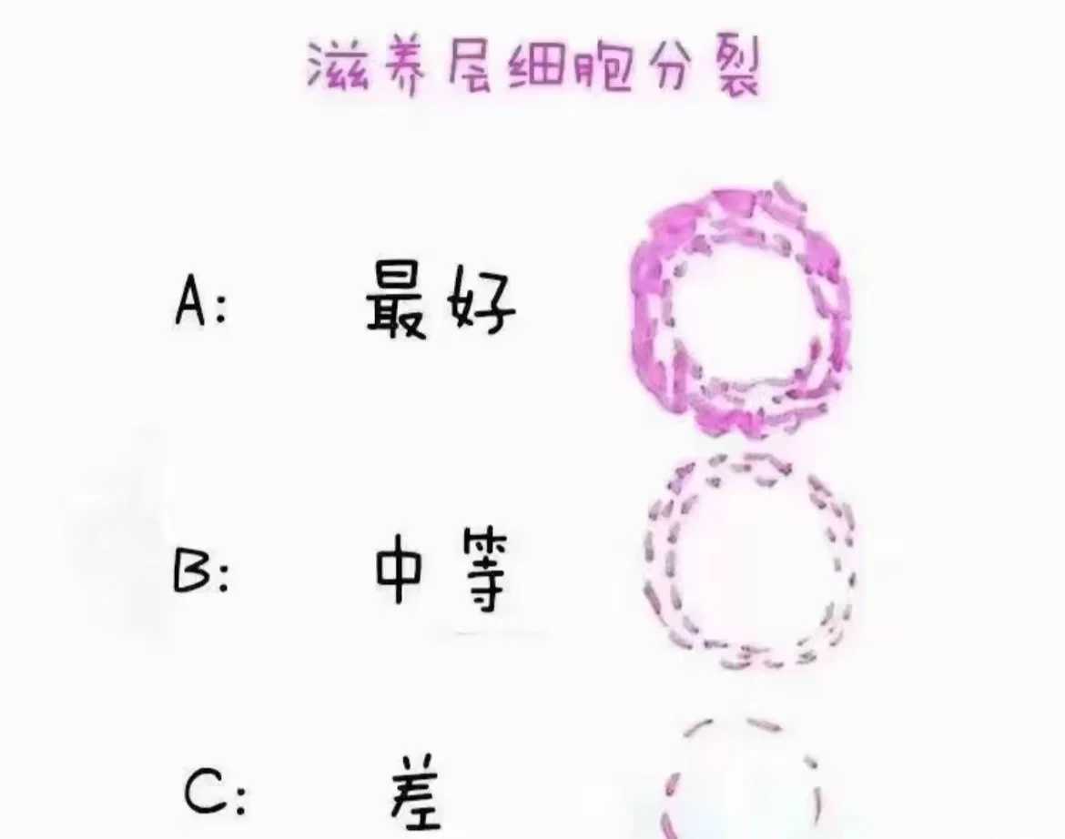 多囊卵巢做试管成功率低吗?多囊卵巢做试管成功率低吗会怀孕吗?