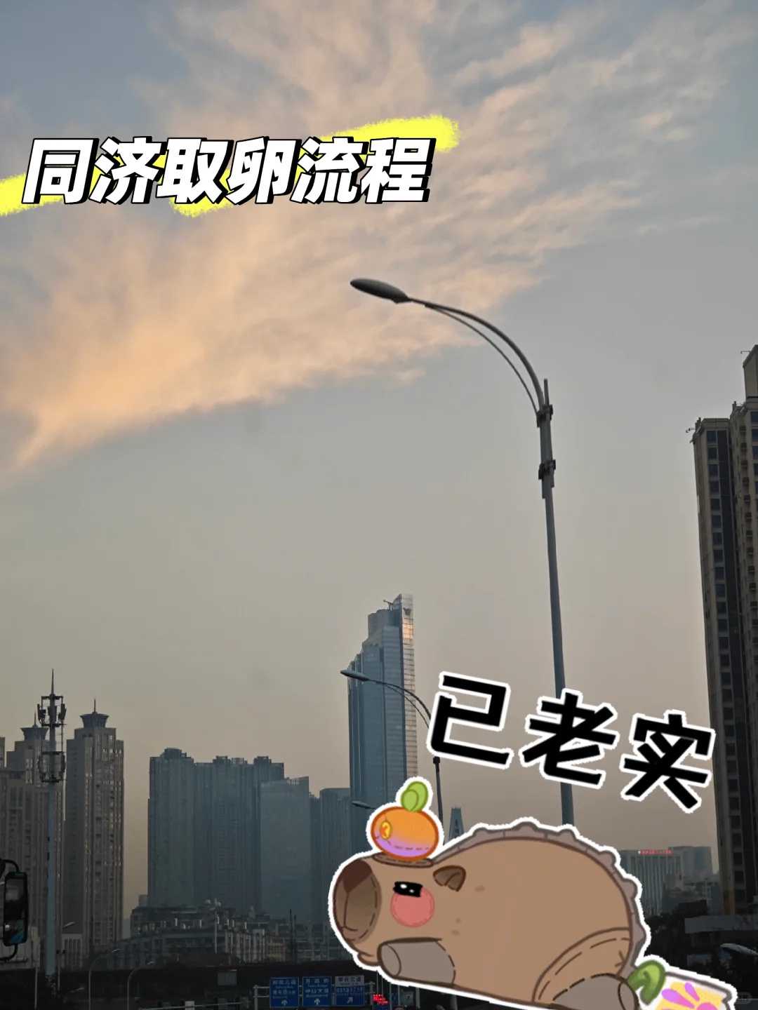 每人每月1115元!青岛再提高困难群众救助保障标准