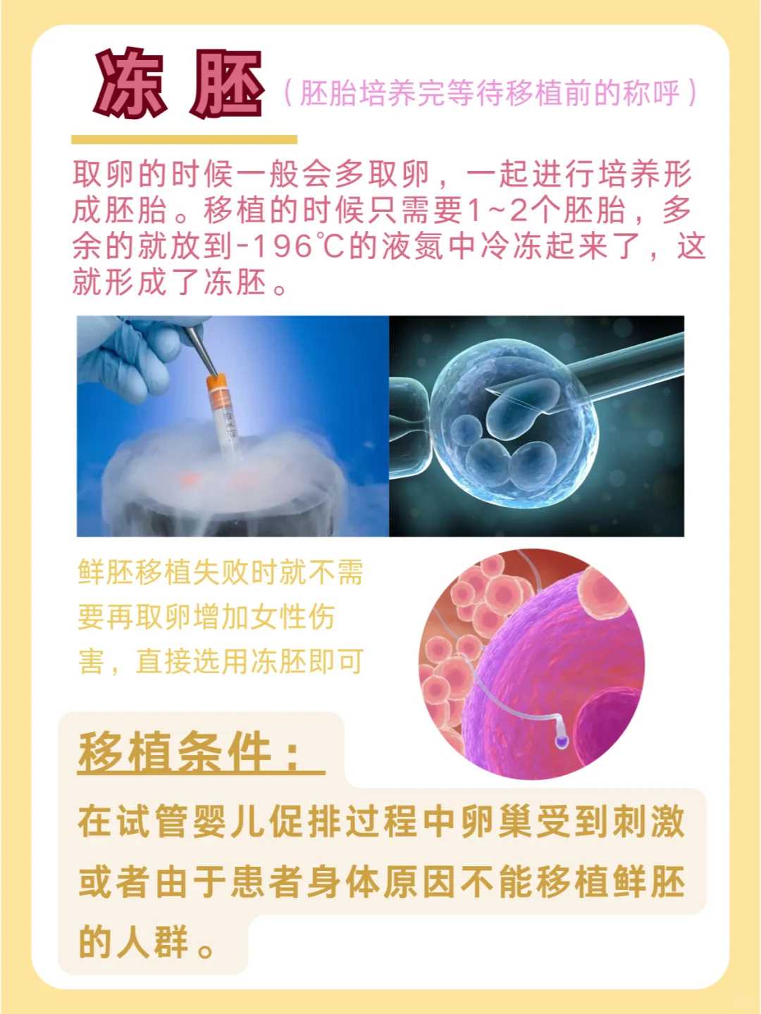 
              纯母乳喂养的早产儿多久开始补铁好?
            