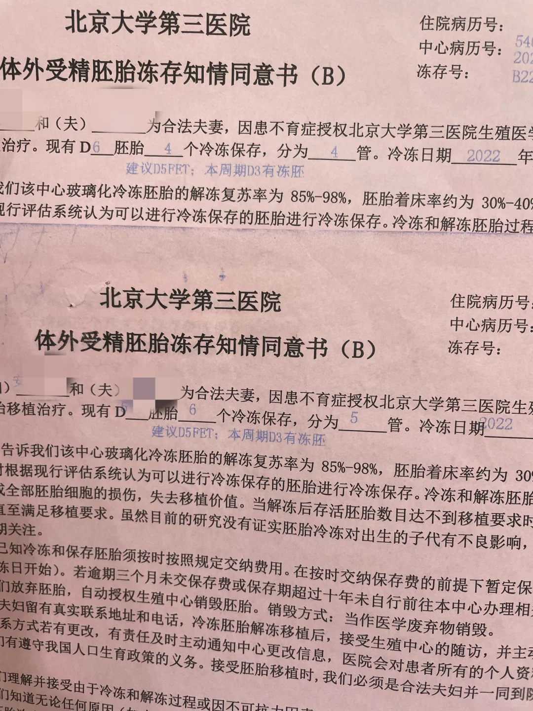 香港借卵生子收费去哪可以找供卵知名代怀孕多少钱