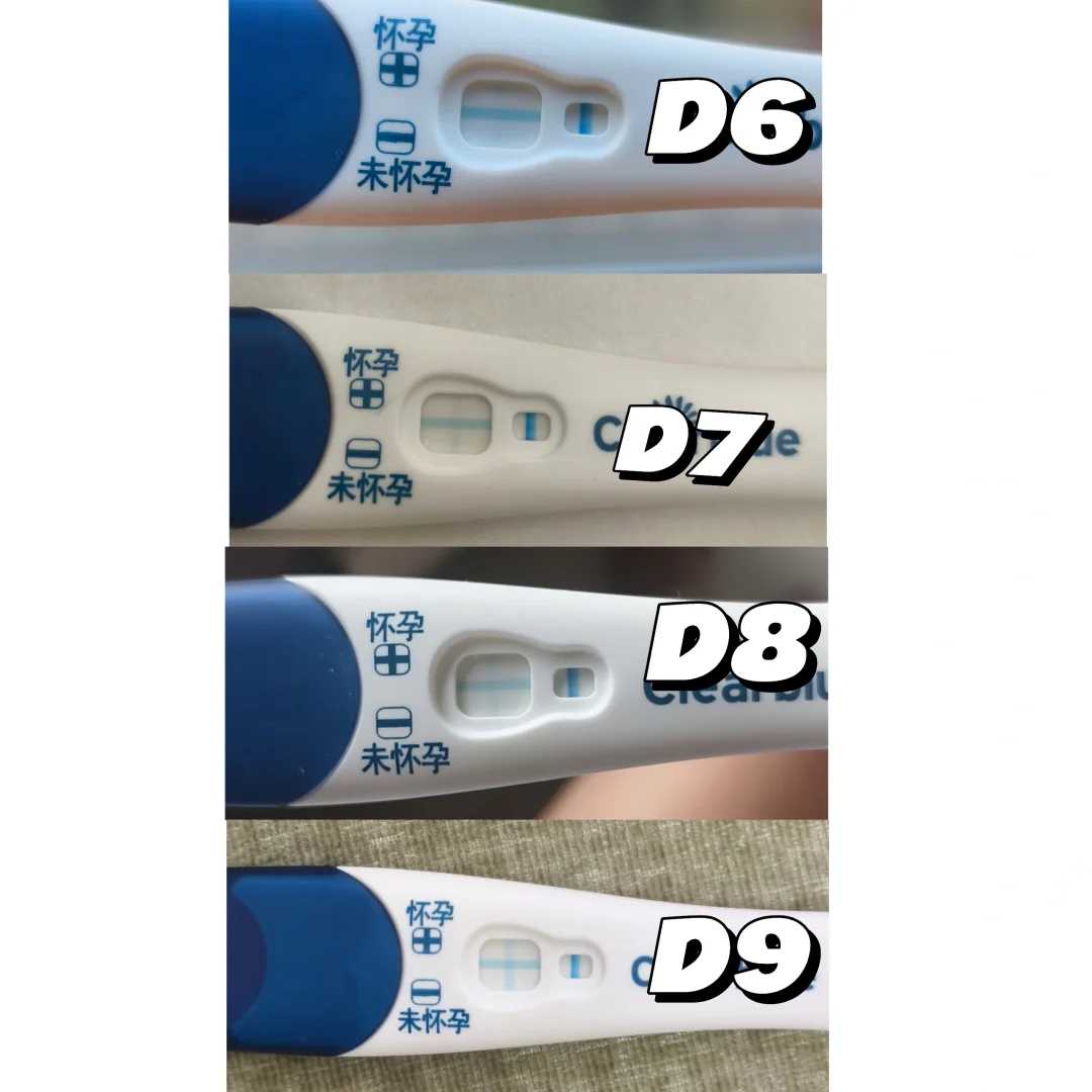 别纠结试管婴儿一促2移成功率多少了，好孕例子比比皆是