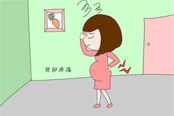 北京代生公司价格表，孕期前三月 防小儿先心病的关键