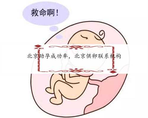 北京助孕成功率，北京供卵联系机构